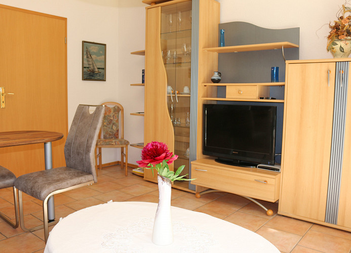 Sat-TV im Wohnzimmer