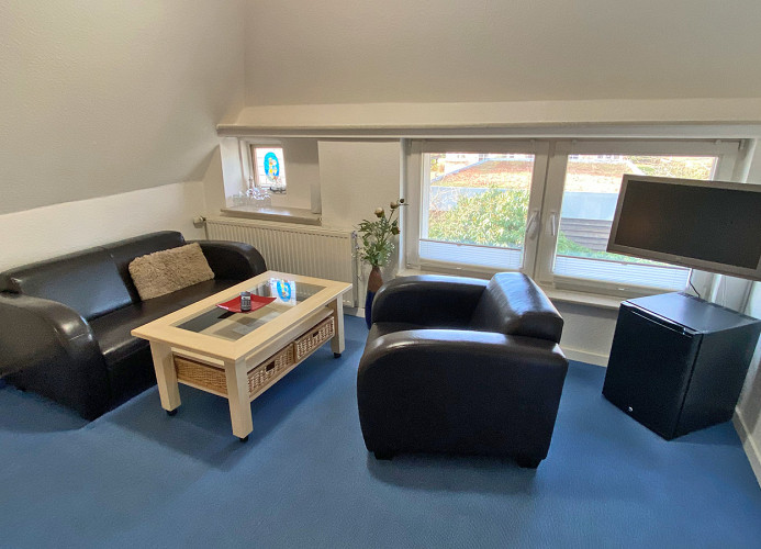 TV und kleiner Kühlschrank im Zimmer