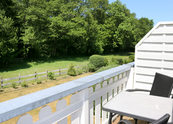 Westbalkon mit Blick auf den Darßer Wald und große Wiesen