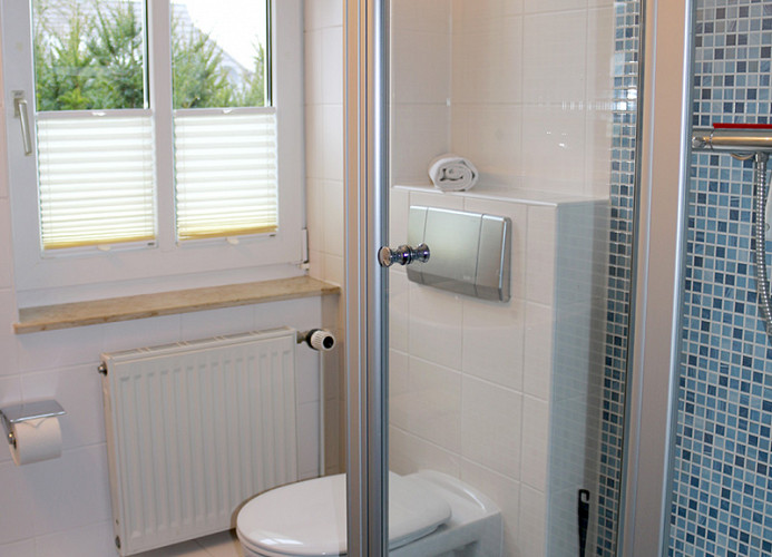 Dusche & WC im Badezimmer