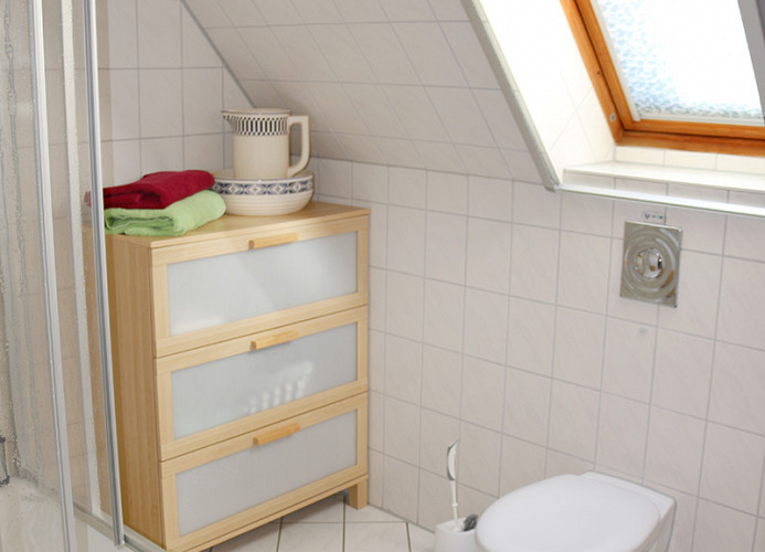 zweites Bad im oberen Bereich mit Dusche und WC