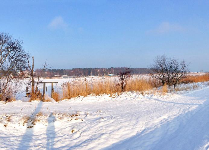 herrliche Aussicht auf den Prerow Strom