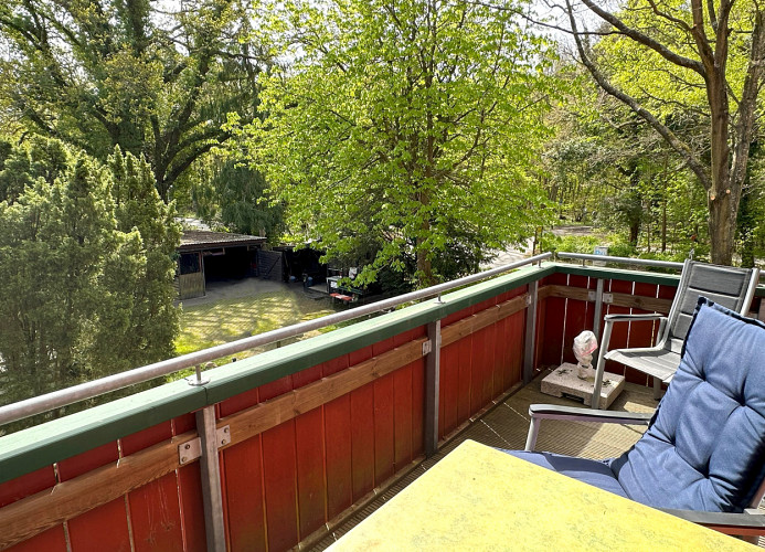 ein Blick ins Grüne