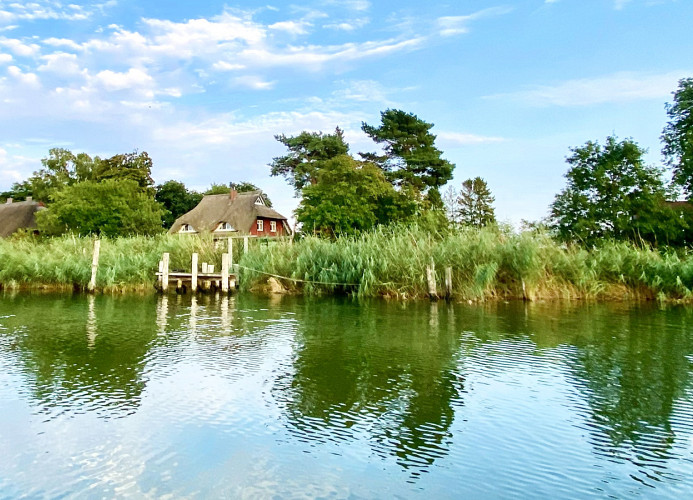 malerische Lage des Hauses direkt am Prerow Strom (Blick vom Wasser auf das Haus)